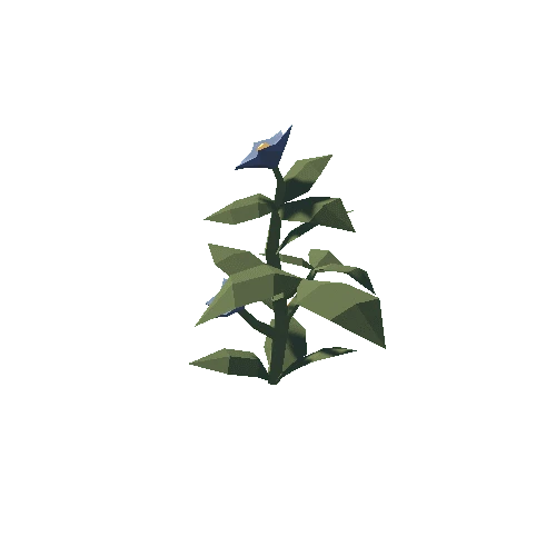 Plant_03_01