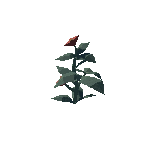 Plant_03_03