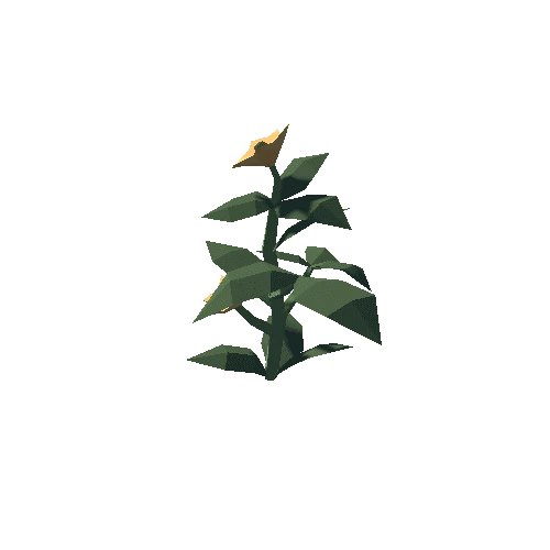 Plant_03_04