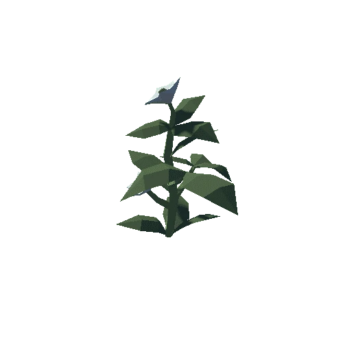 Plant_03_05