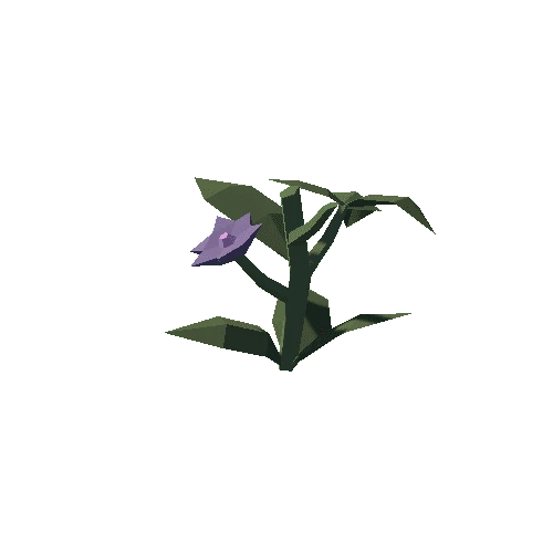 Plant_03_Cut_02