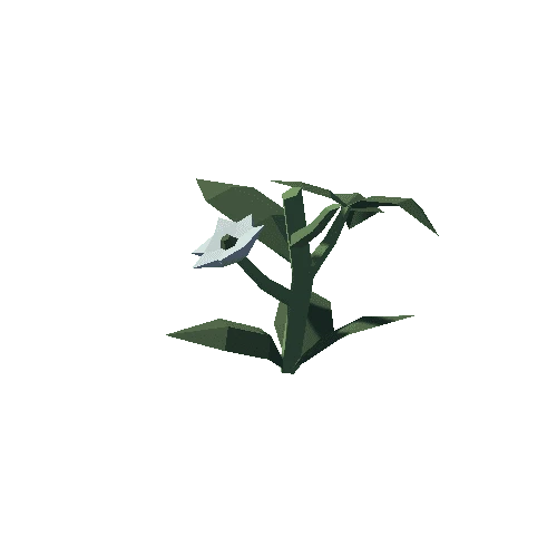 Plant_03_Cut_05