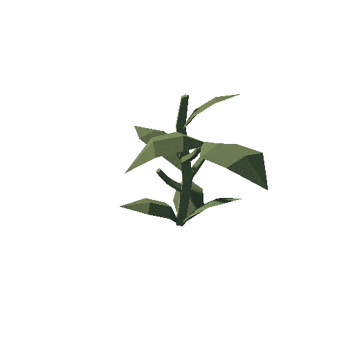 Plant_03_Gathered_01