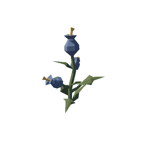 Plant_04_01