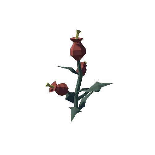 Plant_04_03