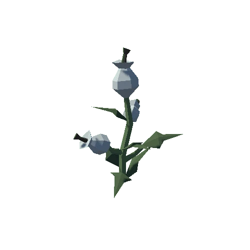 Plant_04_05