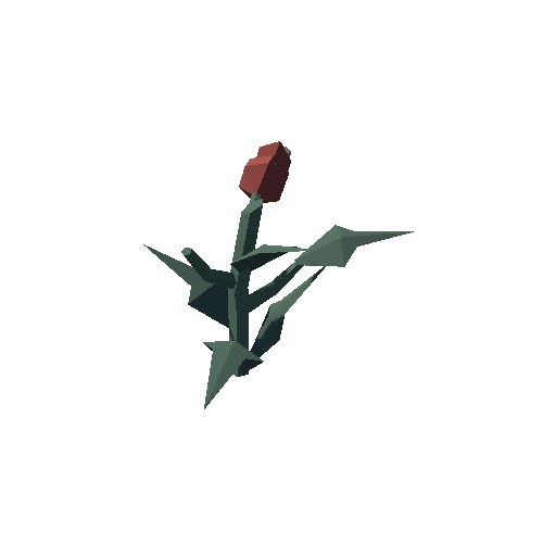 Plant_04_Cut_03