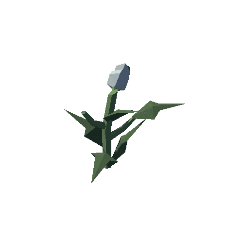 Plant_04_Cut_05