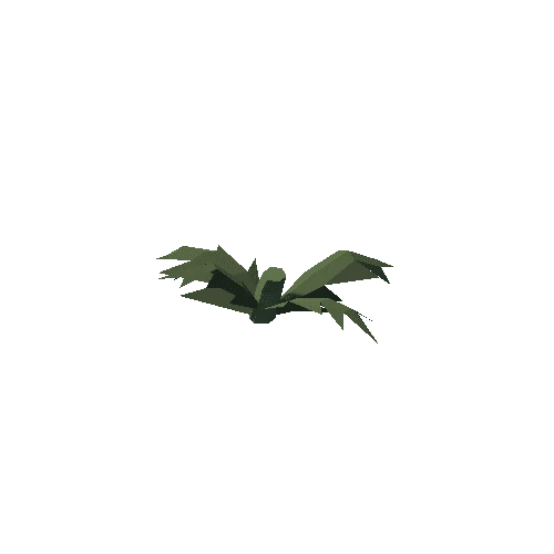 Plant_06_Cut_02