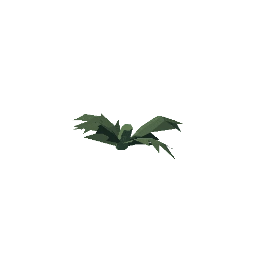 Plant_06_Cut_04