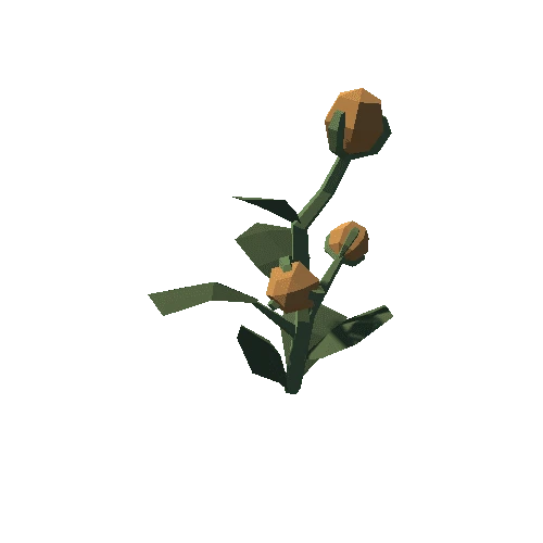 Plant_08_02