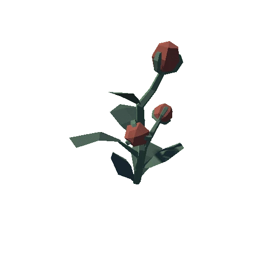 Plant_08_03