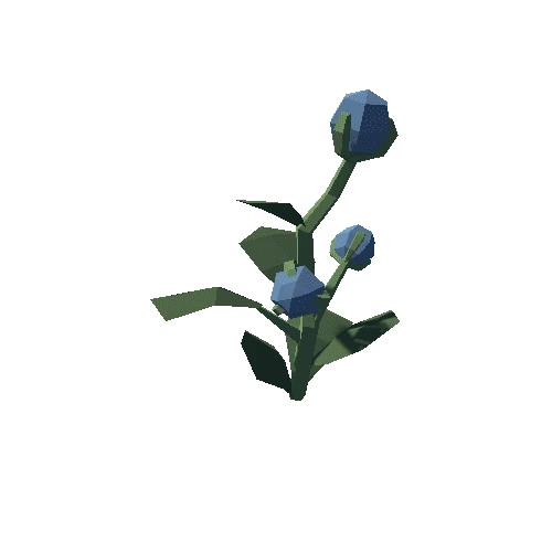 Plant_08_04