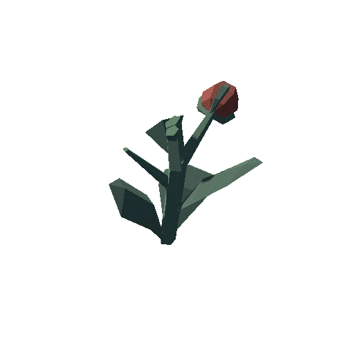 Plant_08_Cut_03