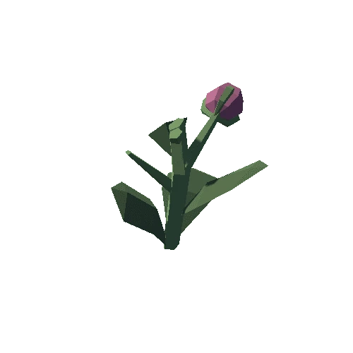 Plant_08_Cut_05