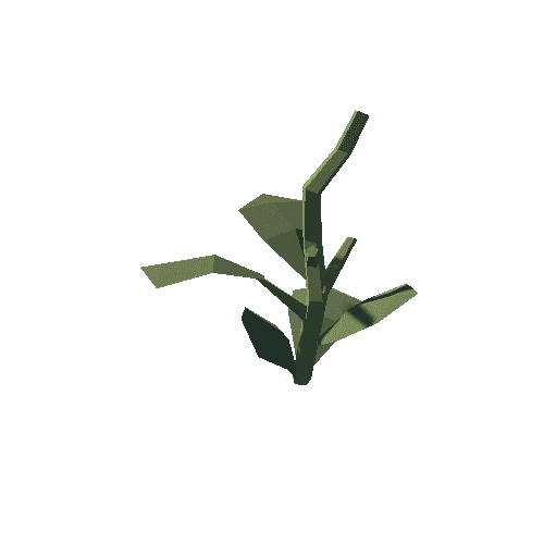 Plant_08_Gathered_01