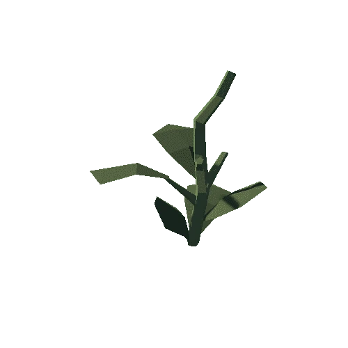 Plant_08_Gathered_02