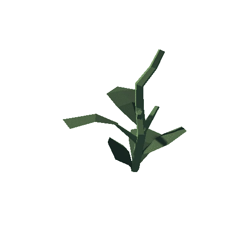 Plant_08_Gathered_04