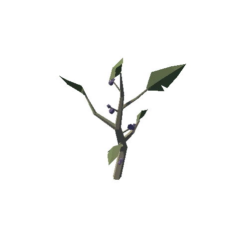 Plant_09_01