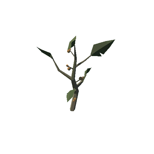 Plant_09_02