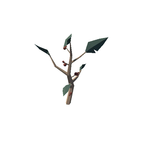 Plant_09_03