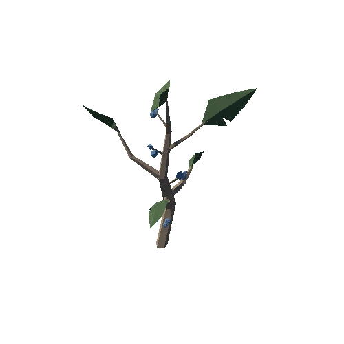 Plant_09_04