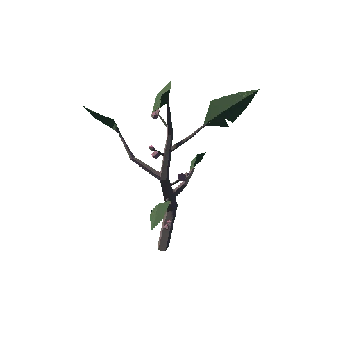 Plant_09_05