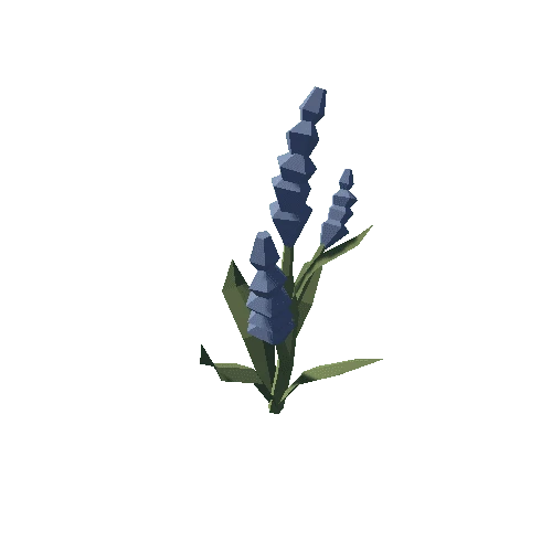 Plant_12_01