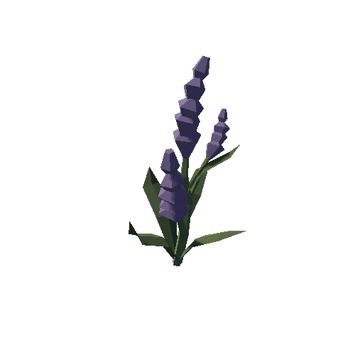 Plant_12_02