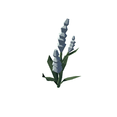 Plant_12_05