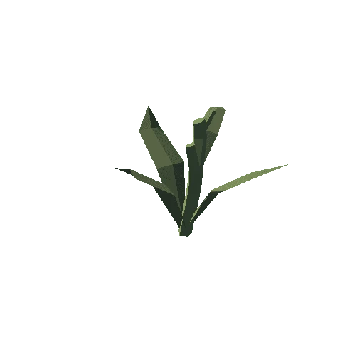 Plant_12_Cut_01