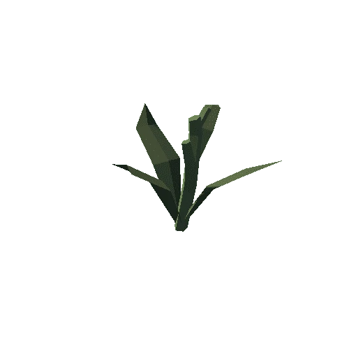 Plant_12_Cut_02