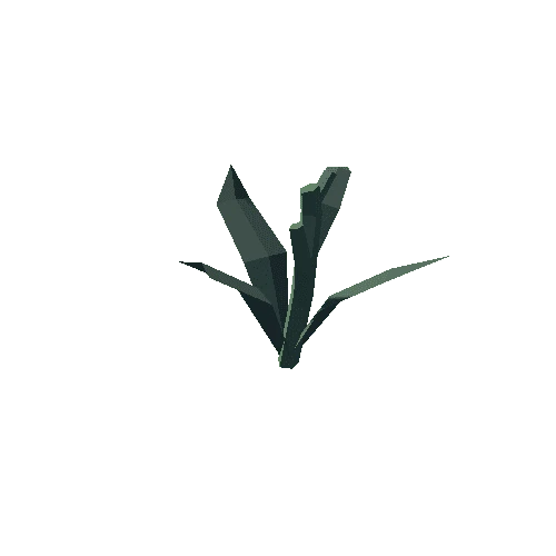 Plant_12_Cut_03