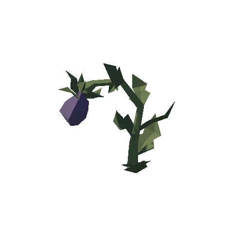 Plant_15_01