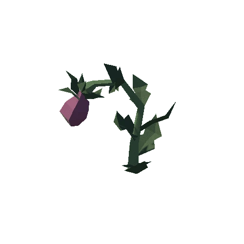 Plant_15_05