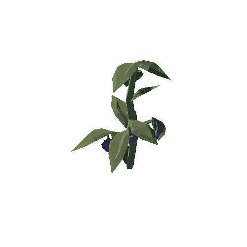 Plant_19_01