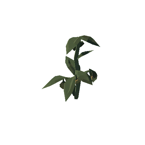 Plant_19_02