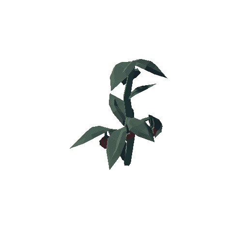 Plant_19_03