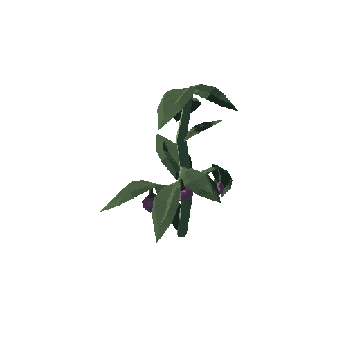 Plant_19_05