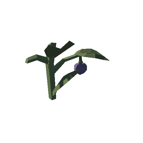 Plant_19_Cut_01