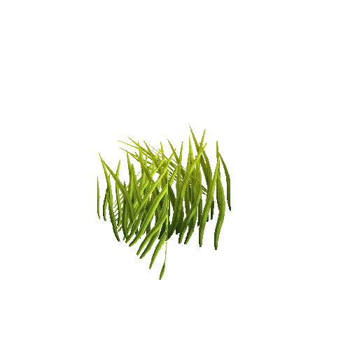 1_Grass_2