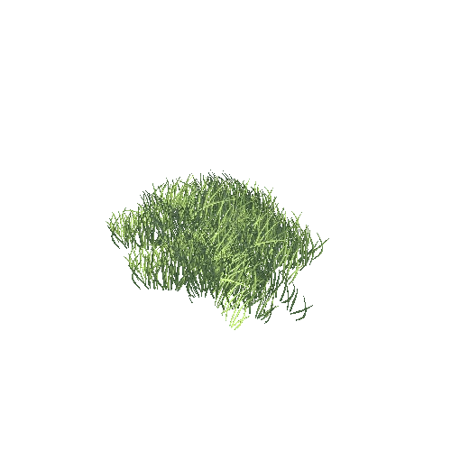 2_Grass_Ver_0