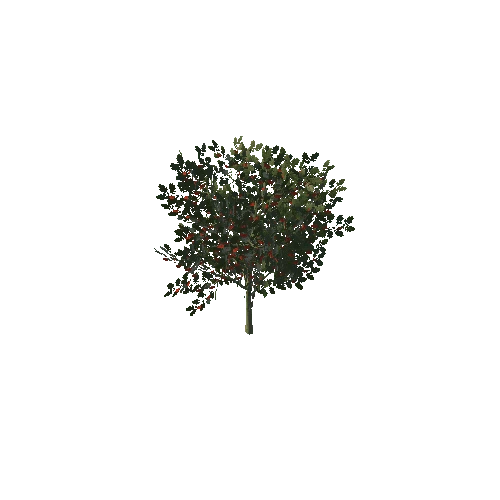 Rowan_tree1_prefab