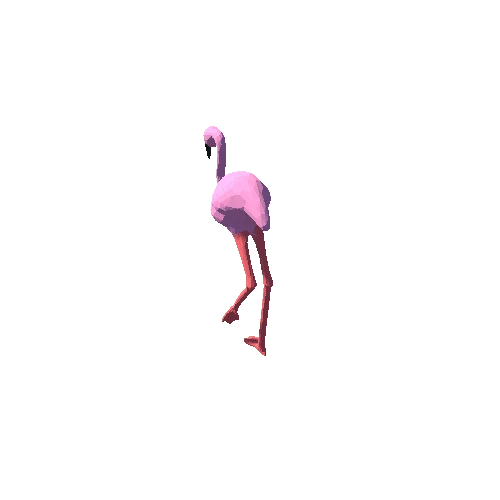 Flamingo