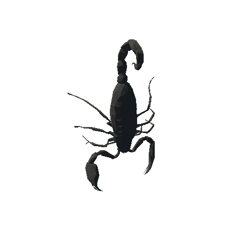 scorpion