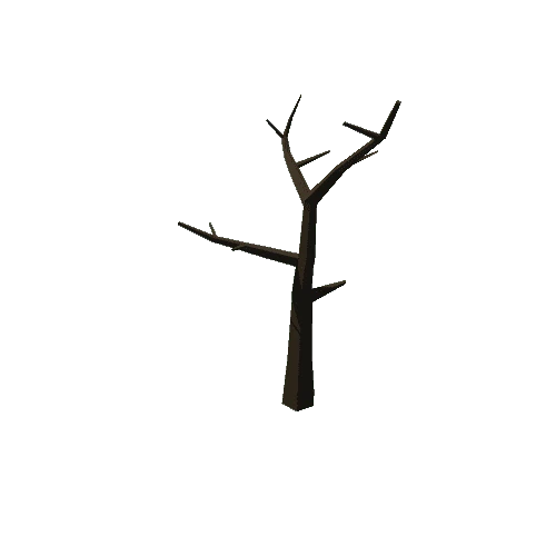 01_Tree_Dried_4