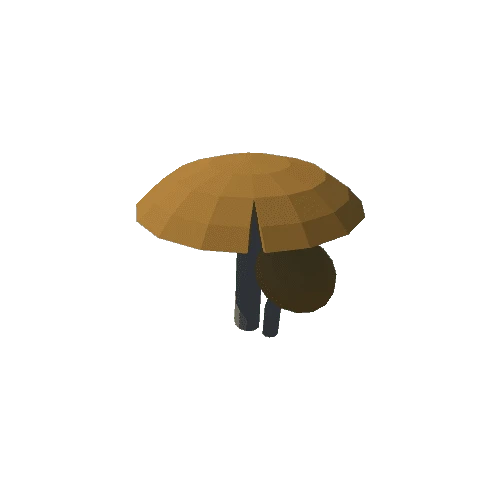 03_Mushroom_1