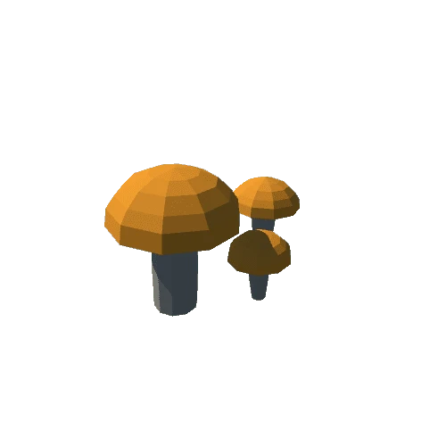 03_Mushroom_3
