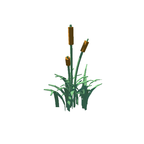 04_Reeds_3