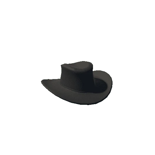 BlackCowboyHat